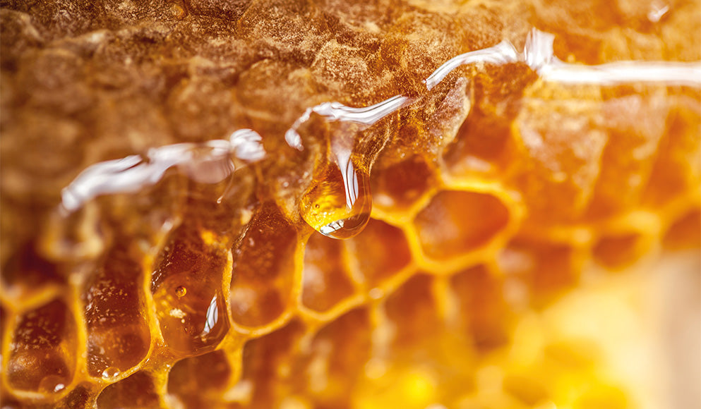 Miel d Acacia bienfaits d'un miel origine France - Miel Crétét