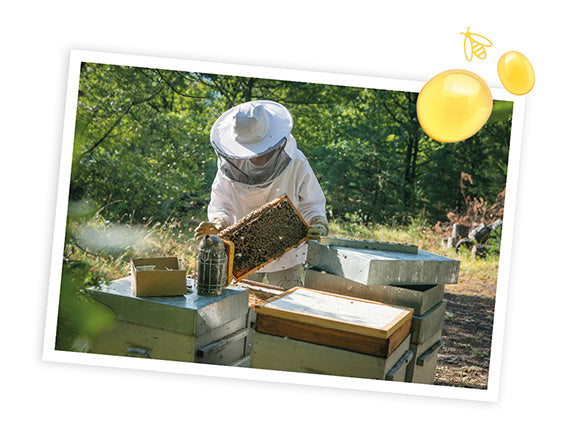 Qu'est-ce que l'apiculture douce ?
