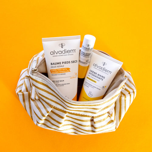 Kit Rentrée en Douceur – Papa Pique et Maman Coud x Alvadiem