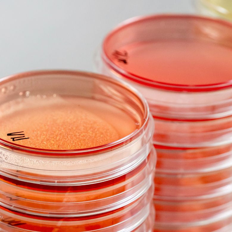 Expert en dermatologie — développement des soins Alvadiem