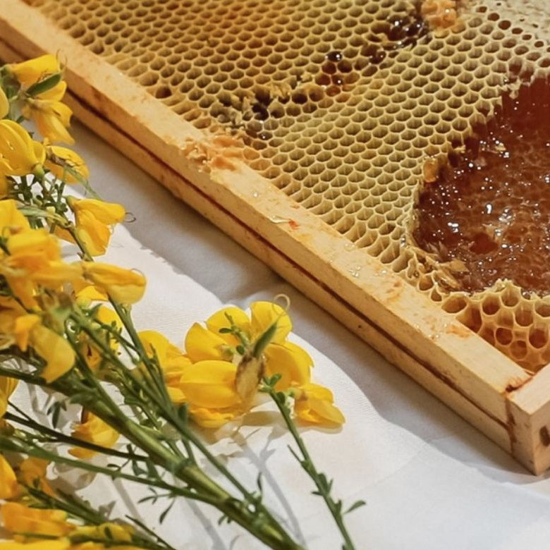 Miel et fleurs — sélection du miel Alvadiem
