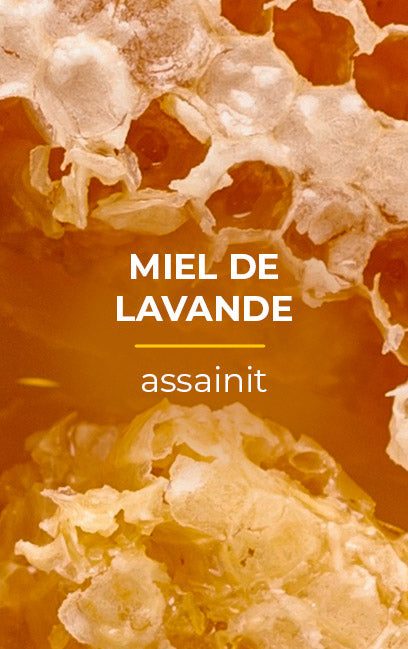 Gel Lavant Mains Assainissant