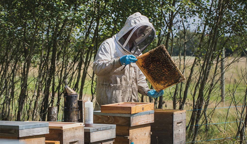 Quel est le métier d'apiculteur ?