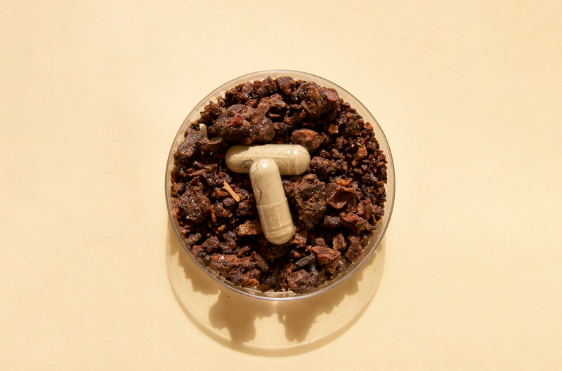 Quelles sont les vertus du propolis