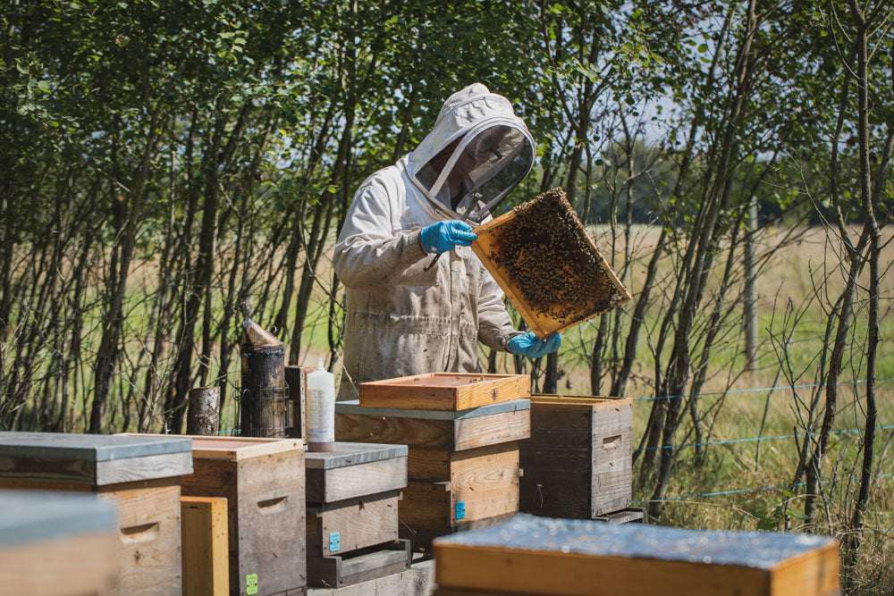 Le Black for Good : qu’est-ce que c’est ?