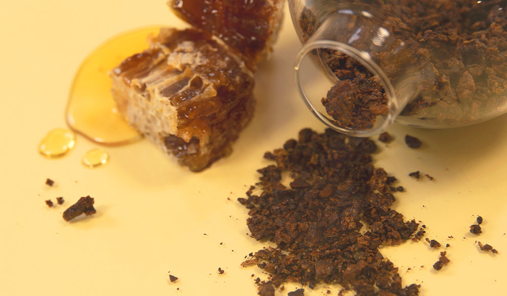 Découvrez les bienfaits de la propolis