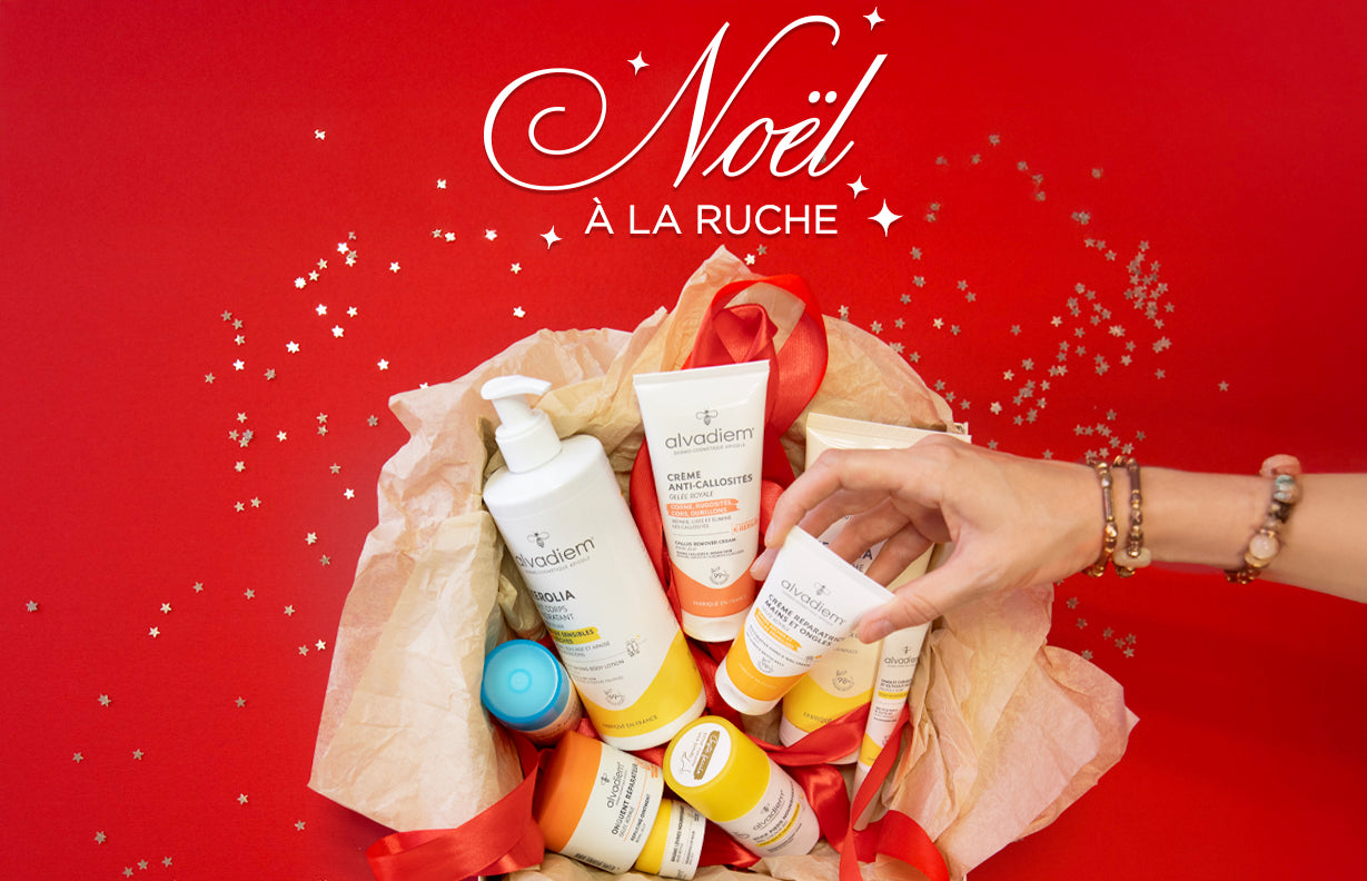 Noël à la Ruche 🎅🍯