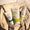 Ma routine protection & fraîcheur