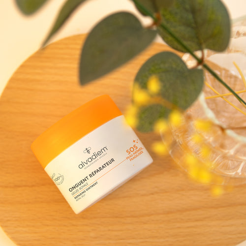Onguent Réparateur