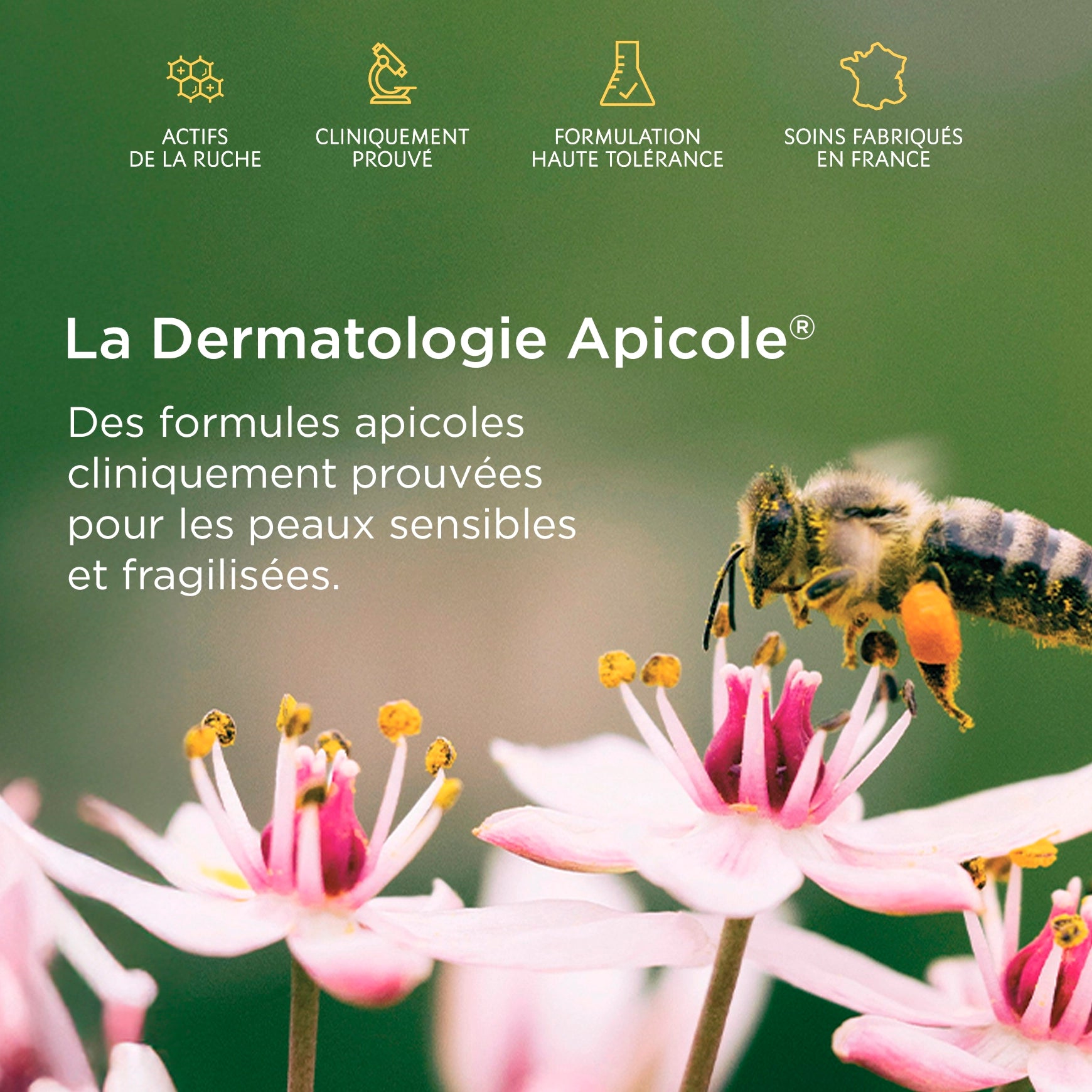deodorant-soin-regulateur-petit-format - PDP-DermatologieApicole.webp