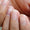 SUB-NAVIGATION-ONGLES CASSES.webp