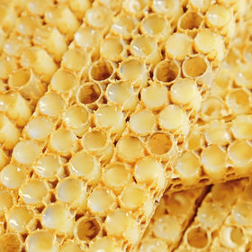 Cire d'abeille