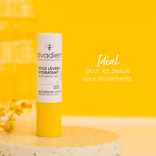Stick Lèvres Hydratant