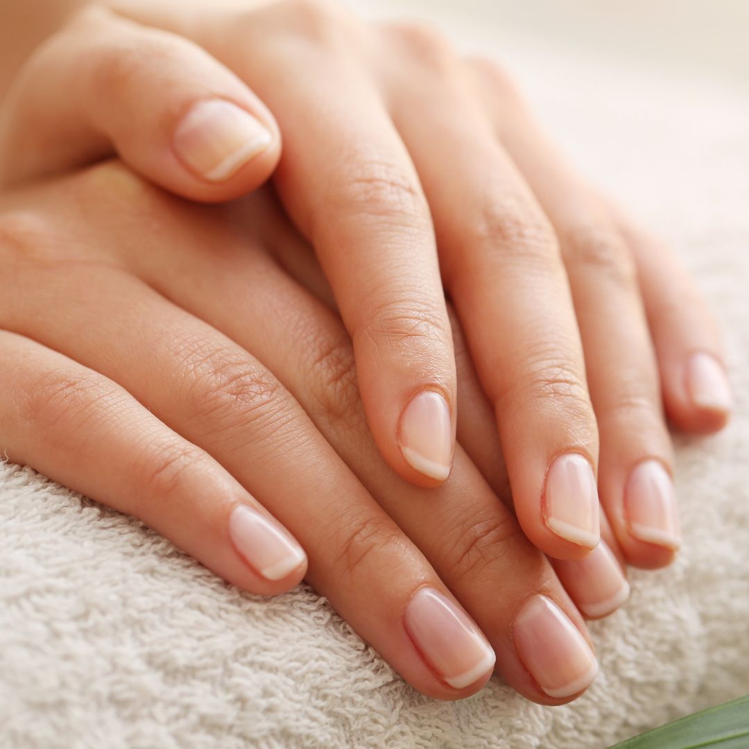 Newsletter Alvadiem — conseils soin des ongles