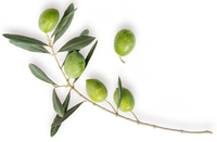 Huile d'olive bio