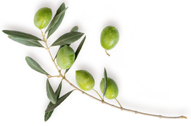 Huile d'olive bio