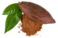Beurre de cacao bio