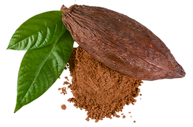 Beurre de cacao bio