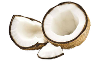 Huile de coco