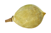 Huile de baobab bio